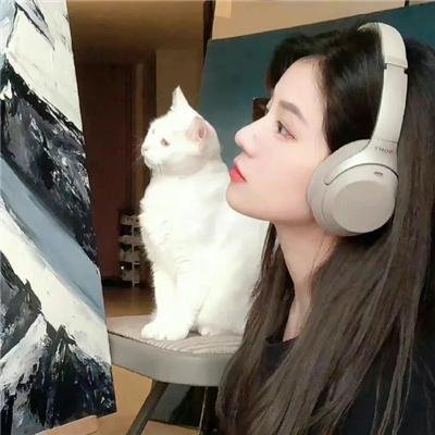 粉红豹再度出击